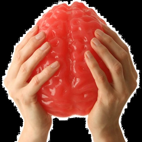 Giant Candy For Halloween Life Sized Gummy Brain